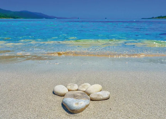 3 Bedroom Pet Friendly In *