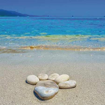 3 Bedroom Pet Friendly In *